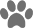 Pet Friendly Apartments