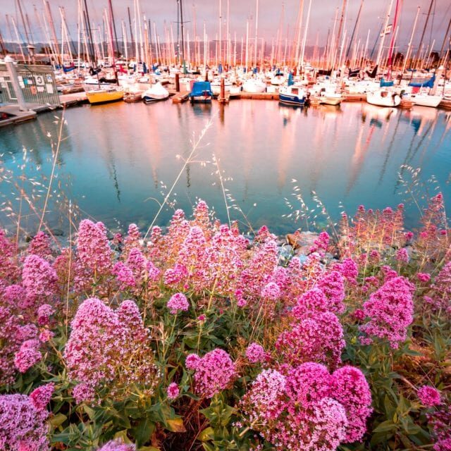 버클리 마리나 - 캘리포니아 버클리에서 할 만한 최고의 것들 - 엘르와 함께하는 여행 - 640x960