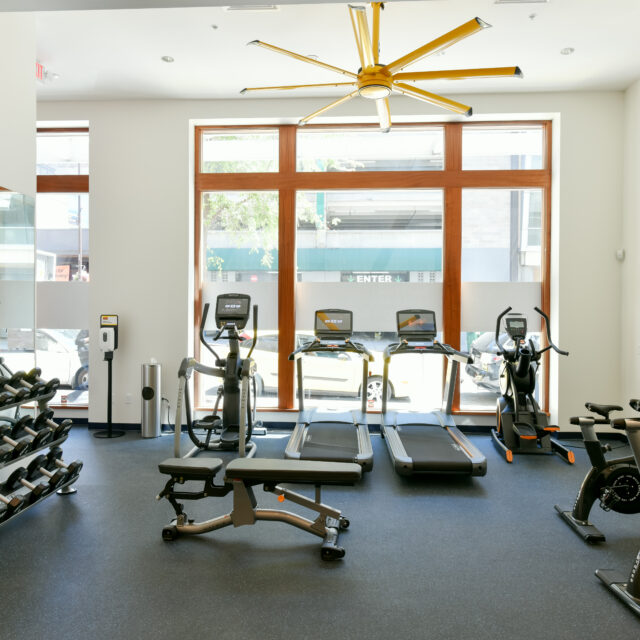 BerkeleyCentral_0254